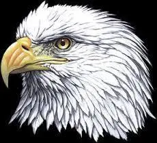 son\'g\'i sawash.jpeg